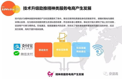 2017上半年中國(guó)精神類(lèi)服務(wù)電商市場(chǎng)研究報(bào)告 教育咨詢服務(wù)的新機(jī)遇與挑戰(zhàn)